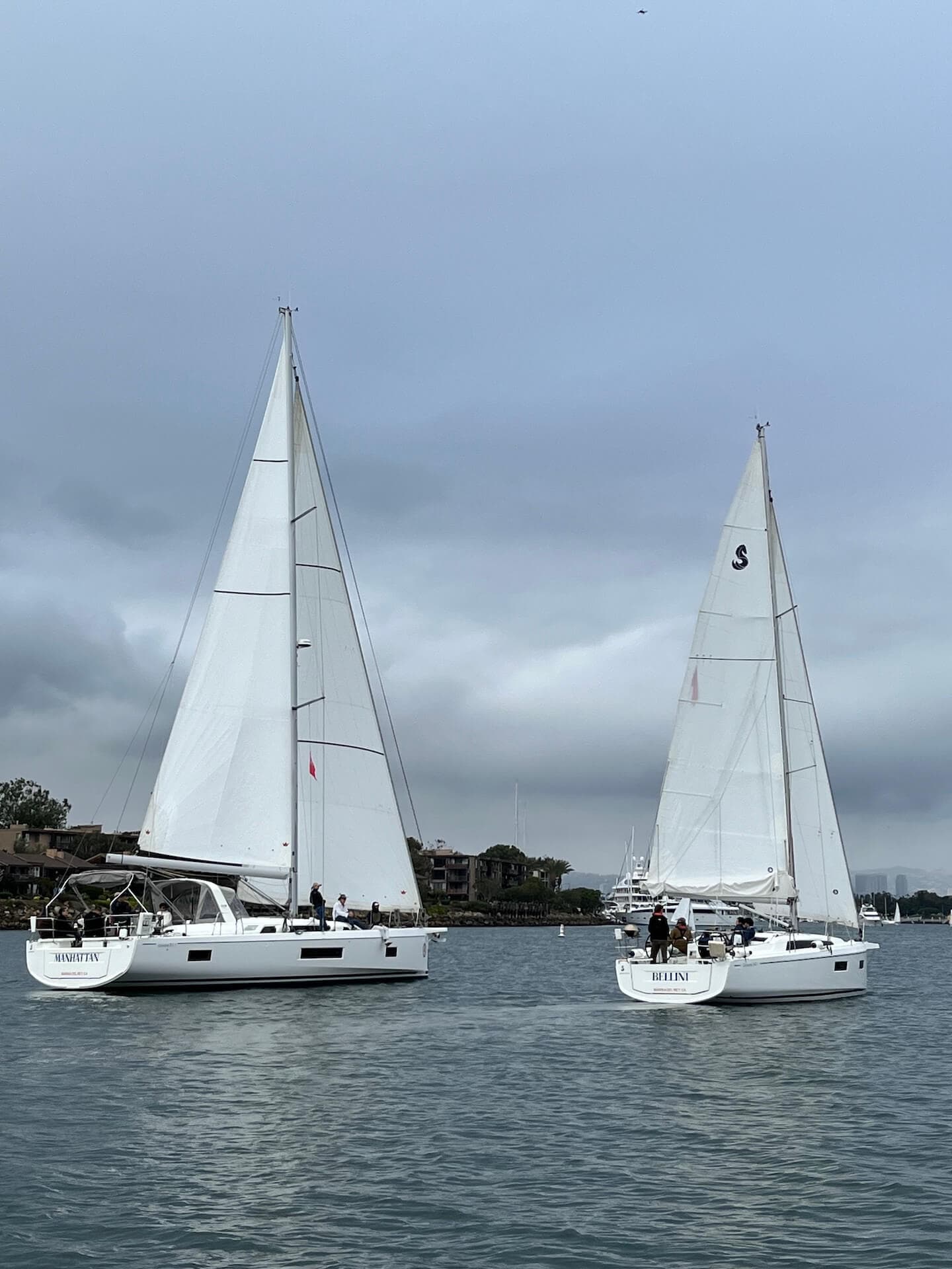 Sailing from Marina del Rey with the coastline in view.
