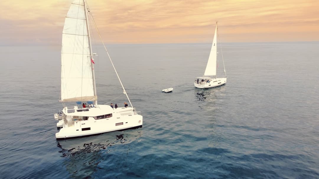 4 Days on Catalina: Naos' Trip to Catalina Island cover image