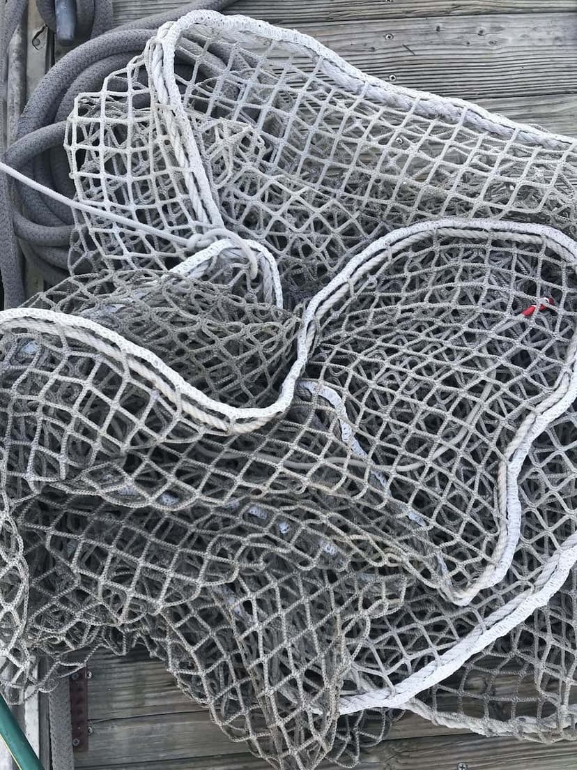 An interview with Etienne Giroire from ATN nets An interview with Etienne Giroire from ATN nets