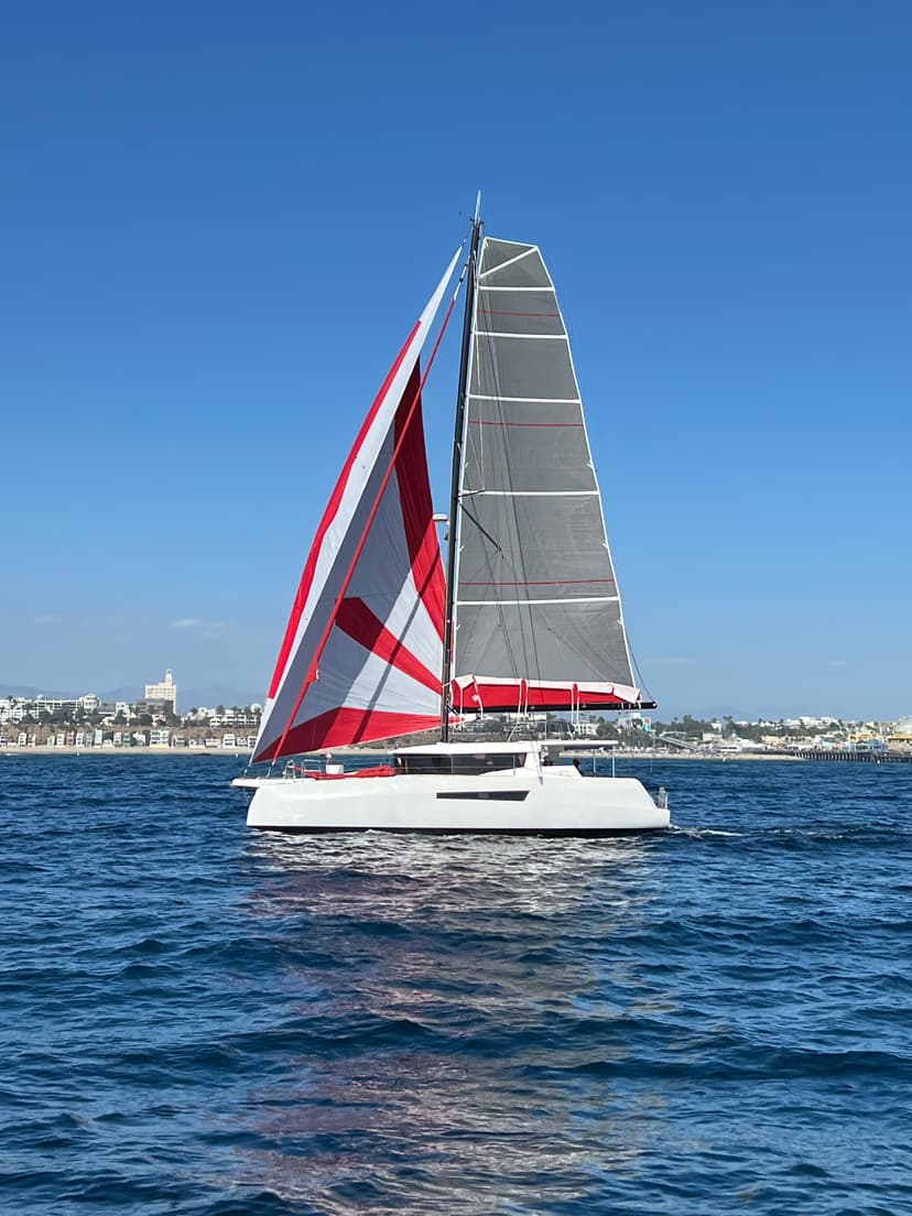 2023 NEEL 47 Carbon Edition