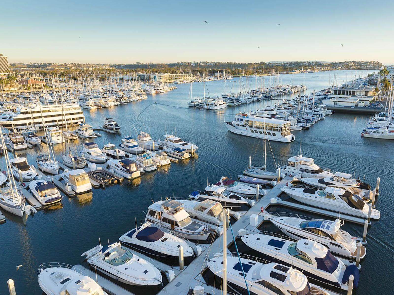 Yacht club in Marina Del Rey with large yachts lined up in a marina.
